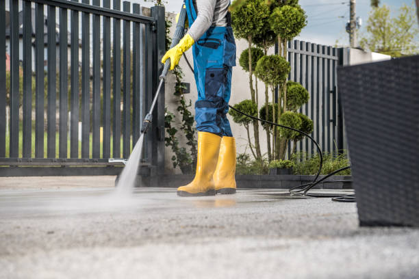 Best Gutter Cleaning  in Germantown, IL