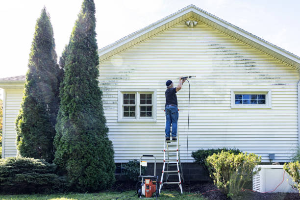Best Patio and Deck Pressure Washing  in Germantown, IL